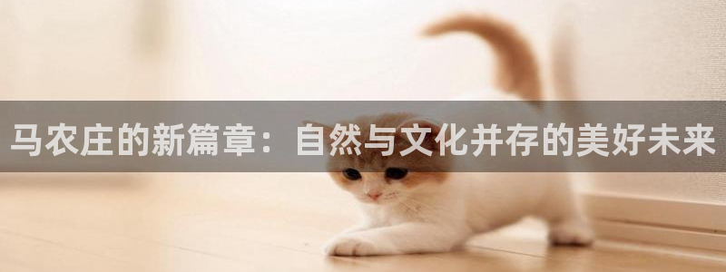 天辰娱乐开户