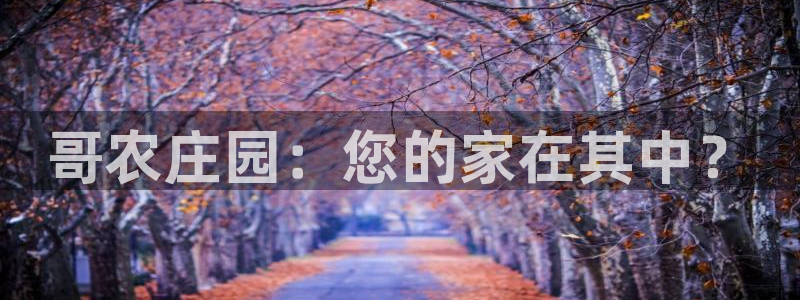 天辰娱乐海洋