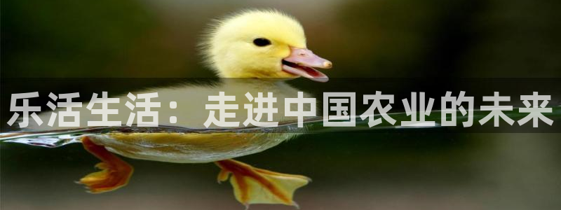 天辰娱乐集团