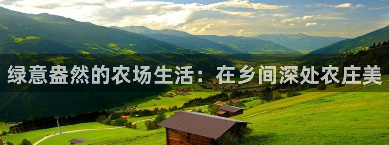 大同天辰娱乐