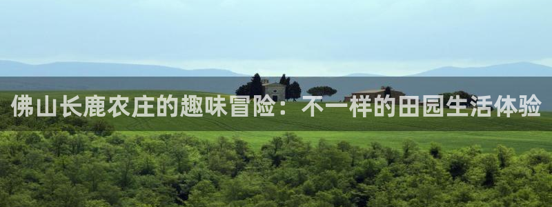 天辰娱乐平台地址