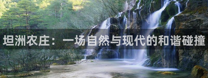 天辰娱乐675138