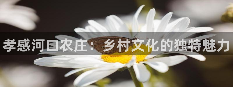 天辰彩票娱乐