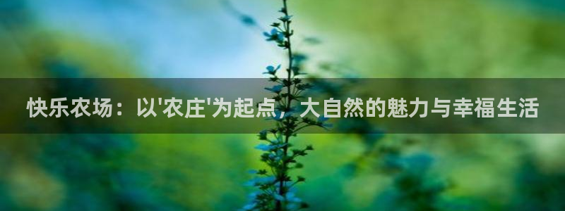 天辰娱乐官方网
