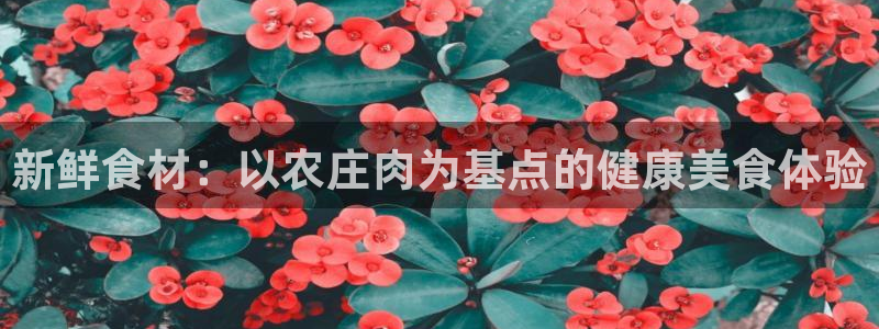 天辰娱乐1980