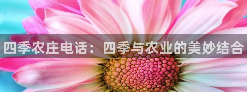 天辰娱乐-18113