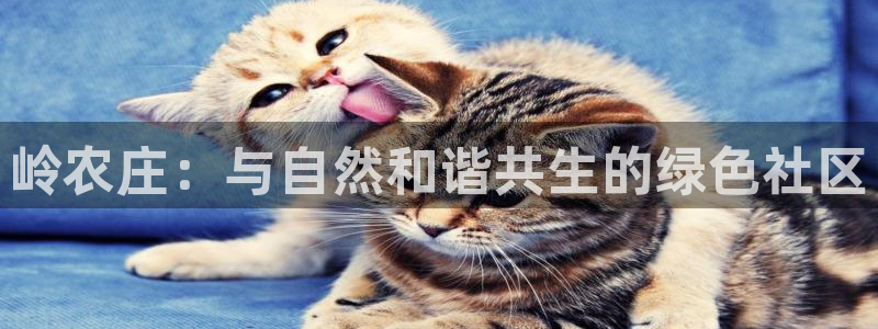 天辰线上娱乐