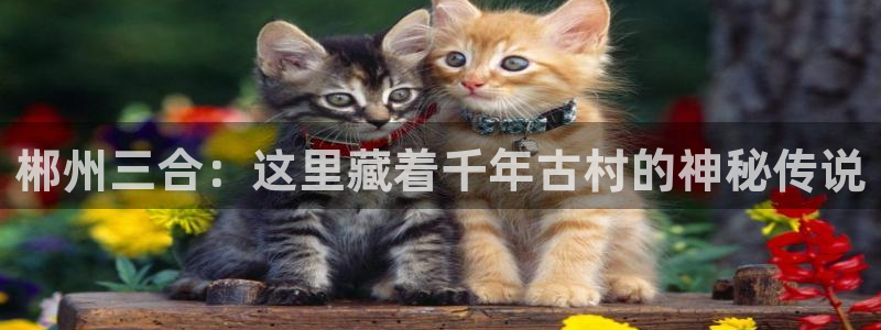 辰天娱乐