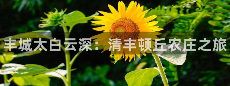 天辰娱乐棋牌