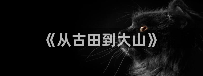 天辰娱乐2