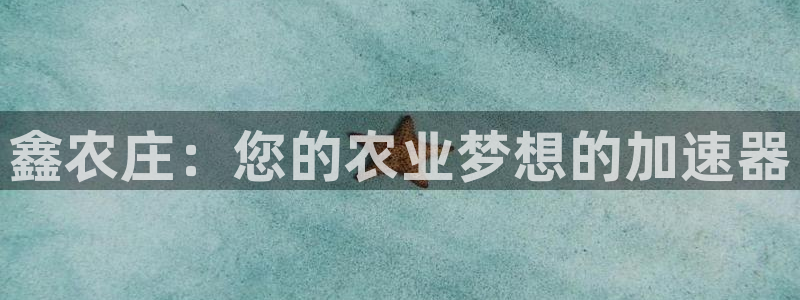 天辰娱乐平台