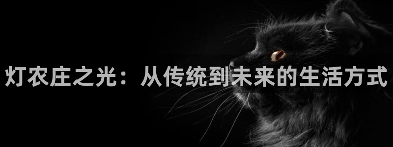 天辰娱乐平台地址