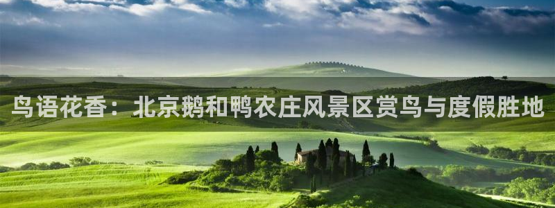 天辰娱乐2
