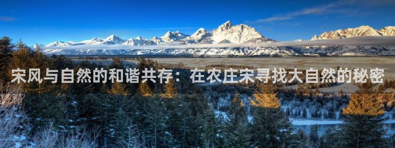 天辰娱乐游戏平台怎么样