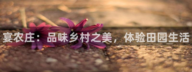 手机上怎么下载天辰娱乐