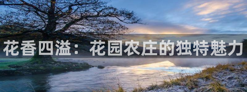 天辰娱乐十分彩