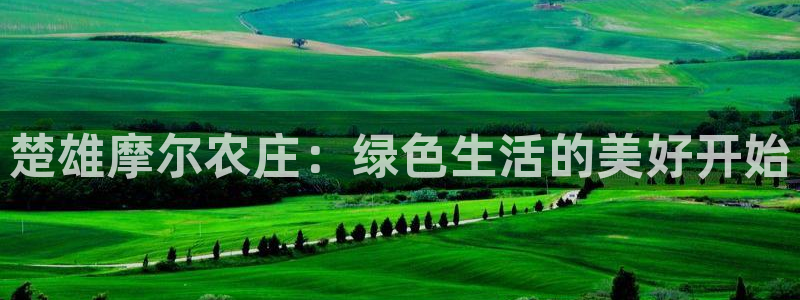 天辰娱乐注册登录