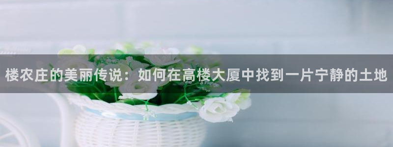 手机上怎么下载天辰娱乐