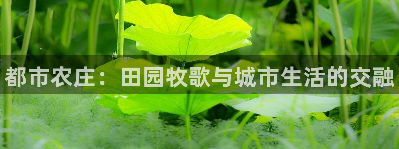 天富娱乐与天辰娱乐