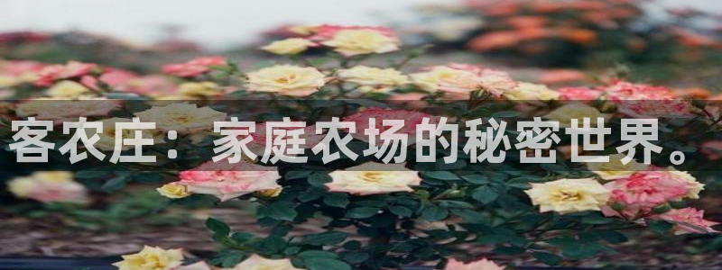 天辰娱乐APP下载