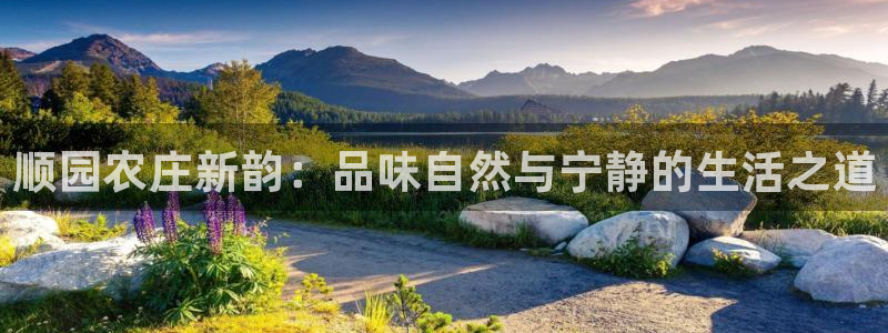 天辰娱乐平台地址