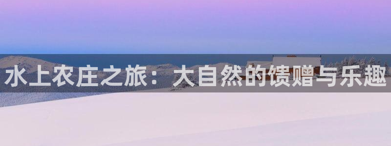 天辰娱乐平台登录账号