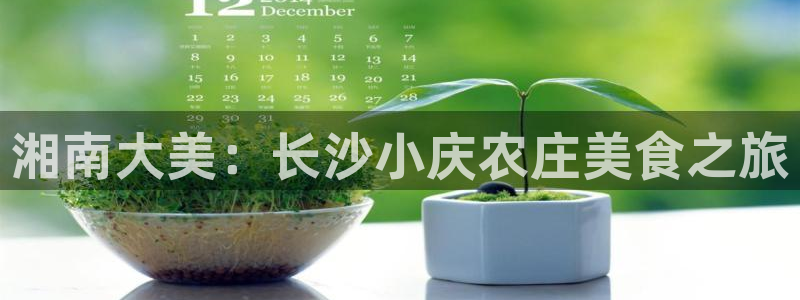 天辰娱乐登录测试