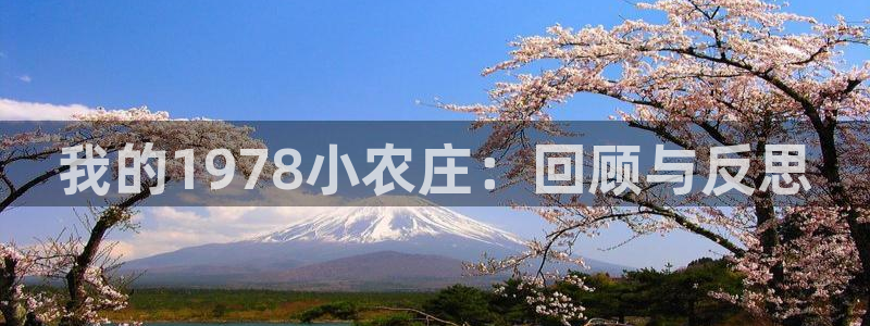 天辰娱乐官方网