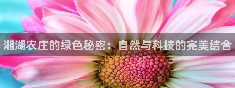 天辰娱乐游戏平台怎么样