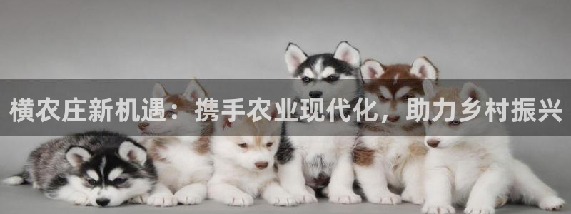 天辰 娱乐 注册