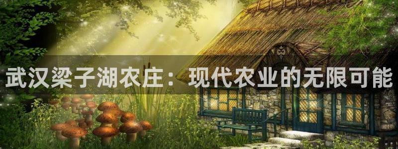 天辰娱乐娱乐平台