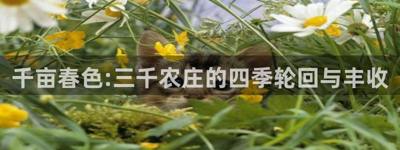 天辰娱乐平台入口