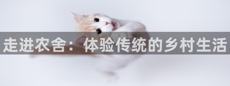 天辰娱乐登录网址