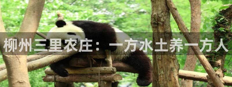 天辰娱乐登陆平台