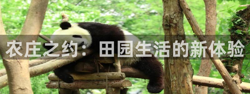 天辰娱乐在线登录注册