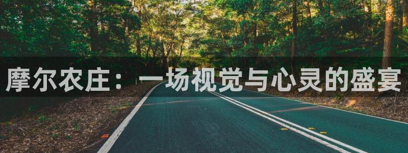 天辰娱乐平台app下载