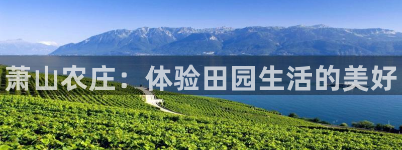 天辰娱乐登陆平台