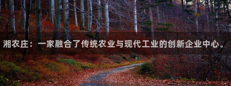 天辰团队贝高娱乐