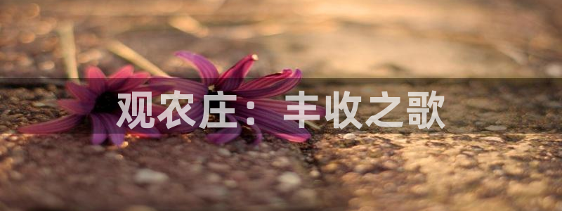 天辰娱乐总管年薪