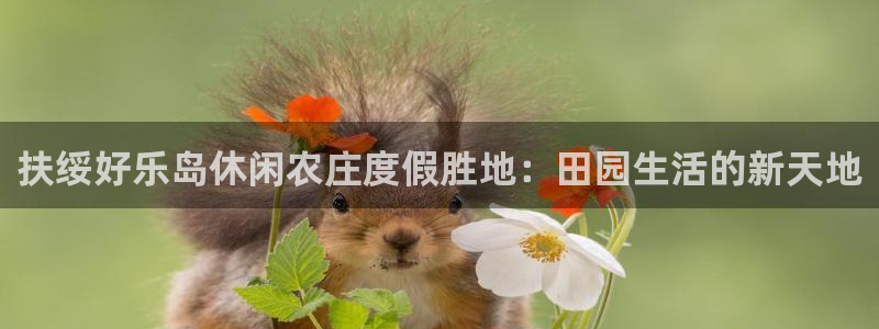 天辰娱乐官网平台入口