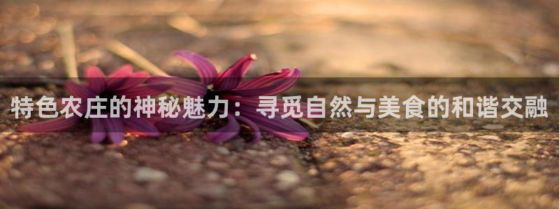 天辰娱乐平台安全吗