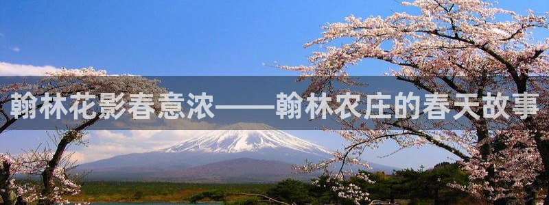 天辰娱乐总管年薪