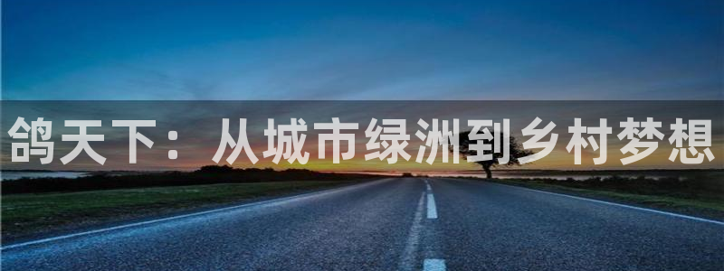 辰天娱乐