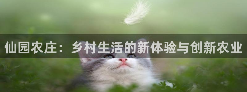 天辰娱乐股东