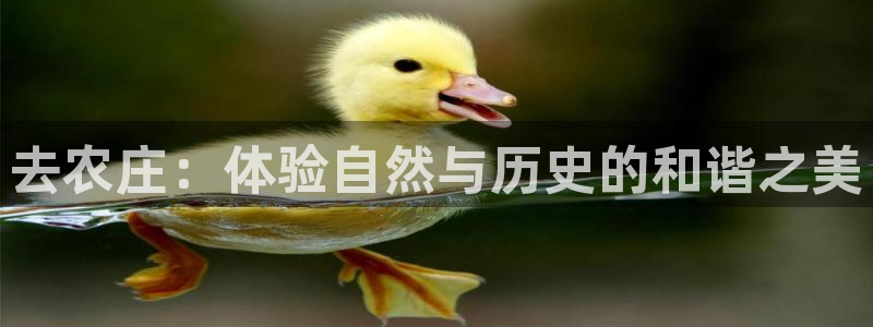 天辰娱乐天辰宝
