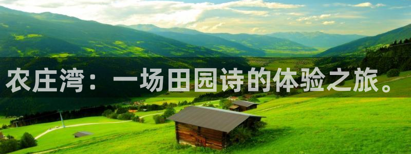 辰天娱乐用品
