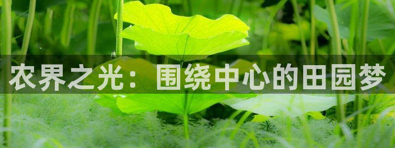 天辰娱乐主管