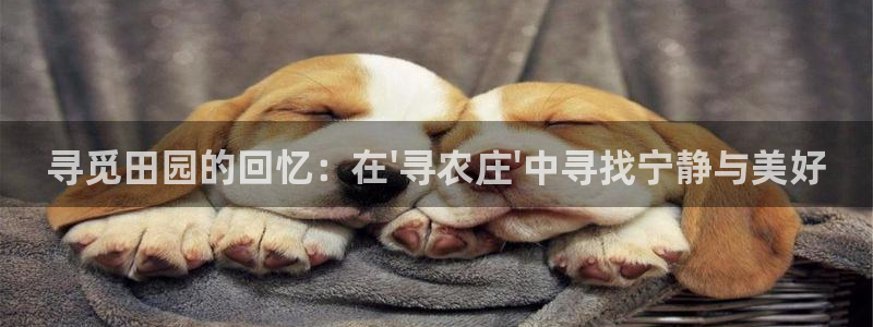 天辰娱乐总管年薪