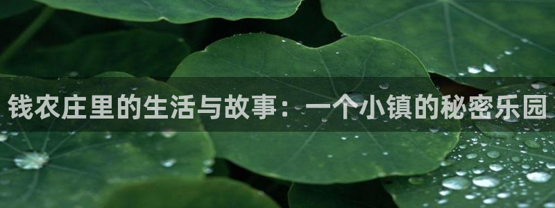 广东天辰娱乐